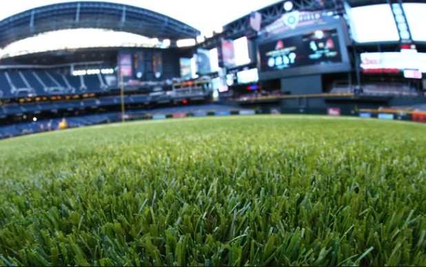 Is The Field At The Arizona Cardinal Stadium Grass Or Artificial Turf - demo10